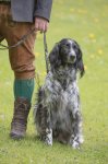 Hundepräsentation 2019